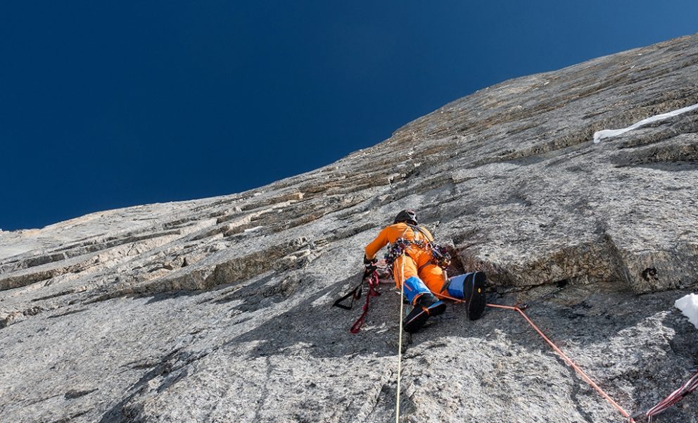 MAMMUT3